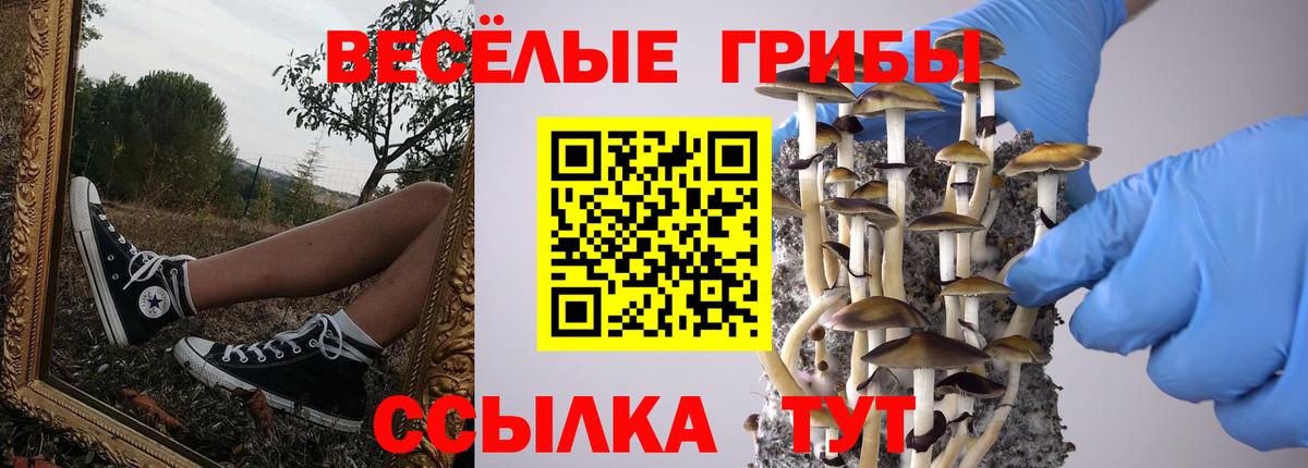Бирск  Галлюциногенные грибы мицелий  Вход с VPN 